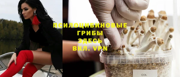 винт Бугульма