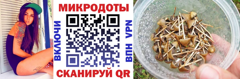 Псилоцибиновые грибы Psilocybe  Горячий Ключ 