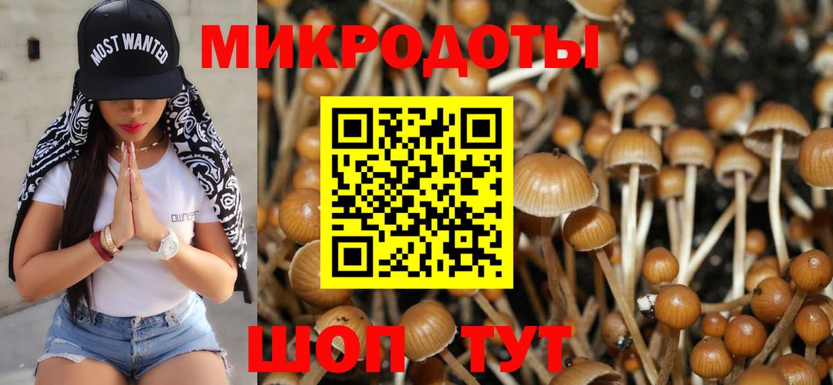 Псилоцибиновые грибы Cubensis Горячий Ключ