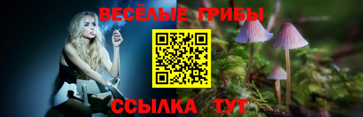 Псилоцибиновые грибы Magic Shrooms  Псилоцибиновые грибы прущие грибы  как найти наркотики  Вход с VPN  Горячий Ключ 